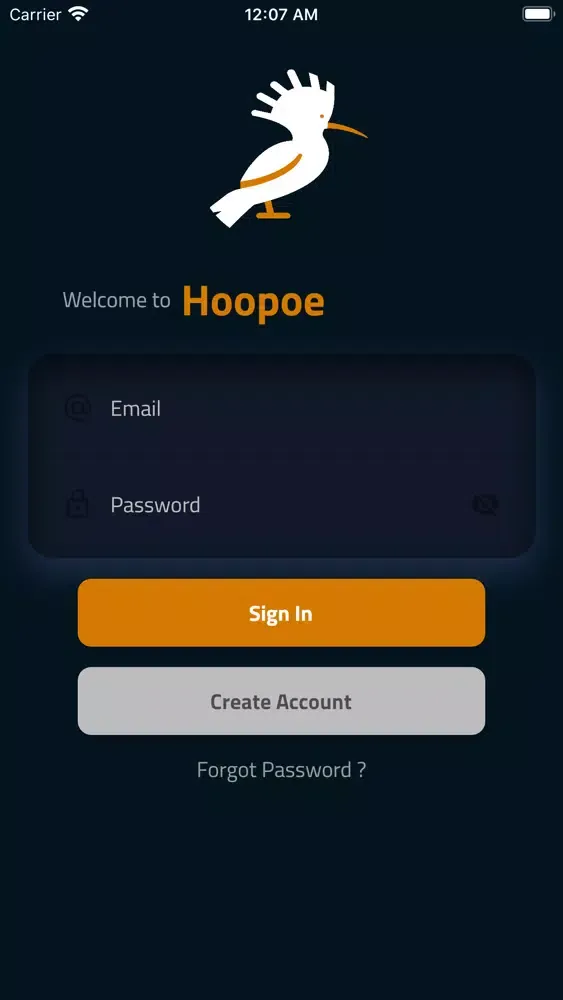 Zrzuty ekranu Hoopoe Chatting App