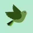 Fly Birdie