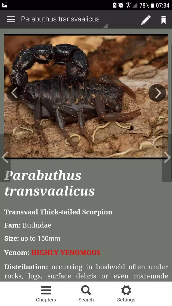 Scorpions of Zimbawe应用截图
