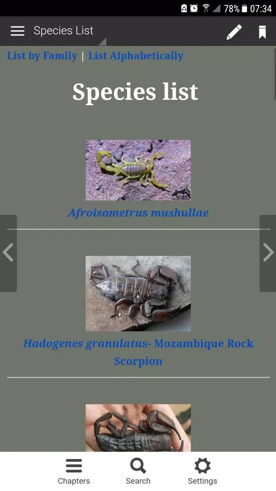 Scorpions of Zimbawe应用截图