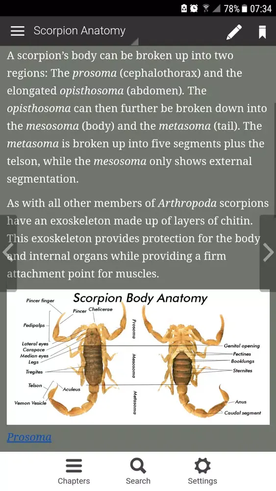 Scorpions of Zimbawe应用截图