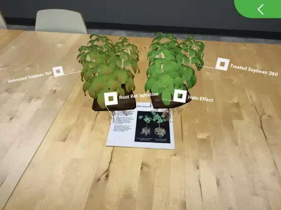 صور BASF ILEVO® AR iPad 