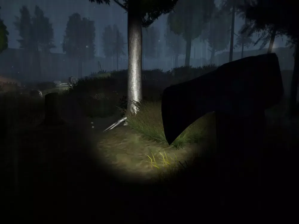 SILENCE (Horror) iPad  سکرین شاٹس