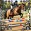 Horse Racing Horse Riding Game