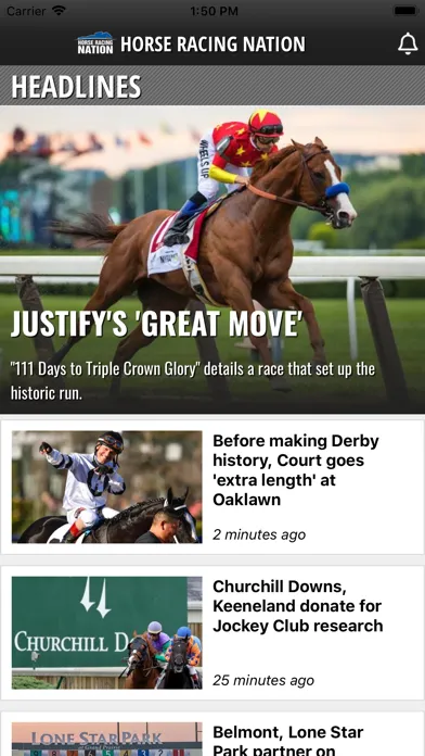 Capturas de pantalla de Horse Racing Nation