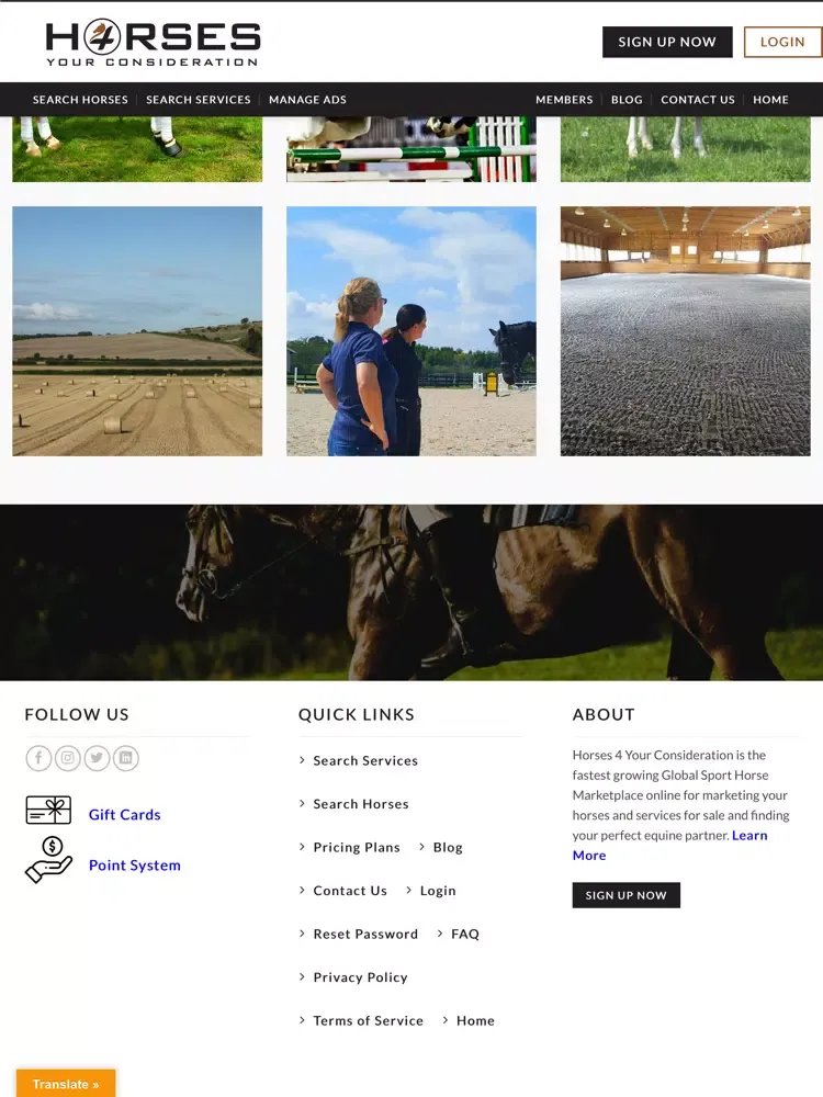 Capturas de tela do Horses 4 Your Consideration iPad 
