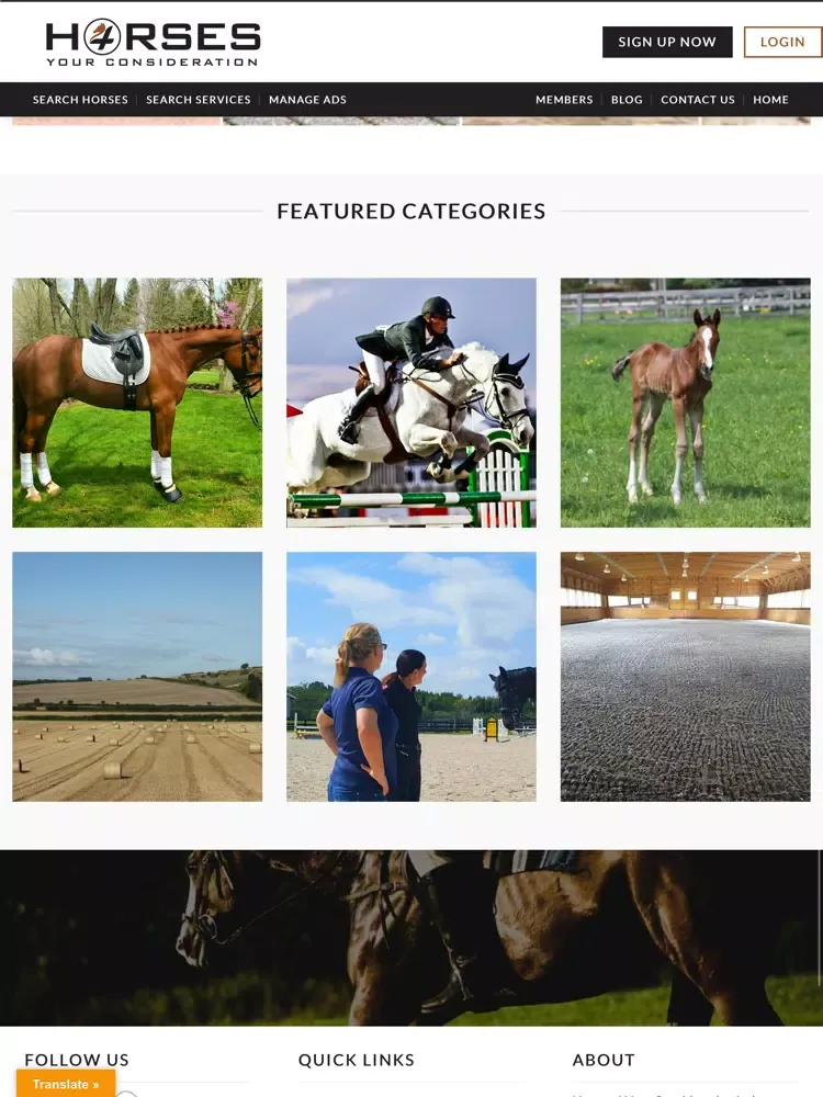 Capturas de tela do Horses 4 Your Consideration iPad 