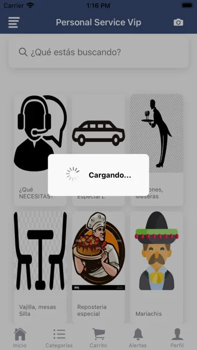 تصاویر Personal Service VIP