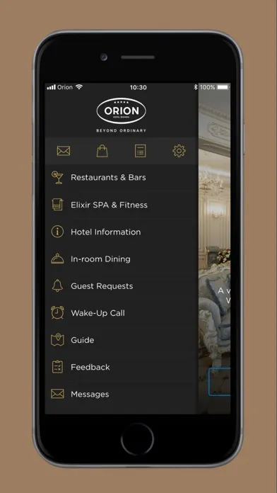 Zrzuty ekranu Orion Hotel Bishkek