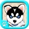 Naughty Husky Free-A puzzle sport game