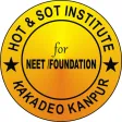 HOT & SOT Institute