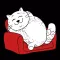Zob the Cat