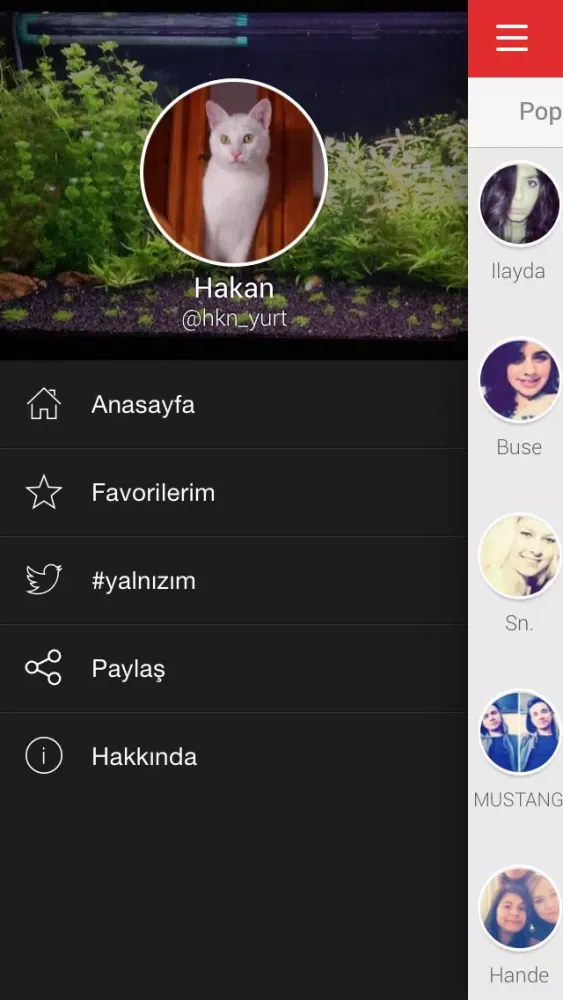 Yalnızım Screenshots