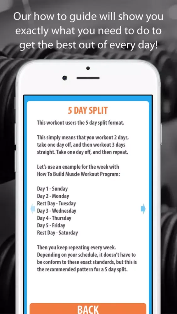 How To Build Muscle Workout Program Ekran Görüntüleri