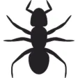 Ants One Sticker Pack Ants One Sticker Pack