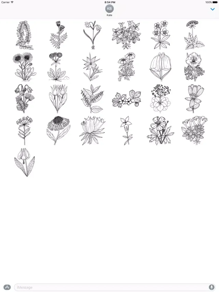 Flower Stickers (Black and White) iPad  スクリーンショット