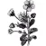Flower Black and White Sticker Pack