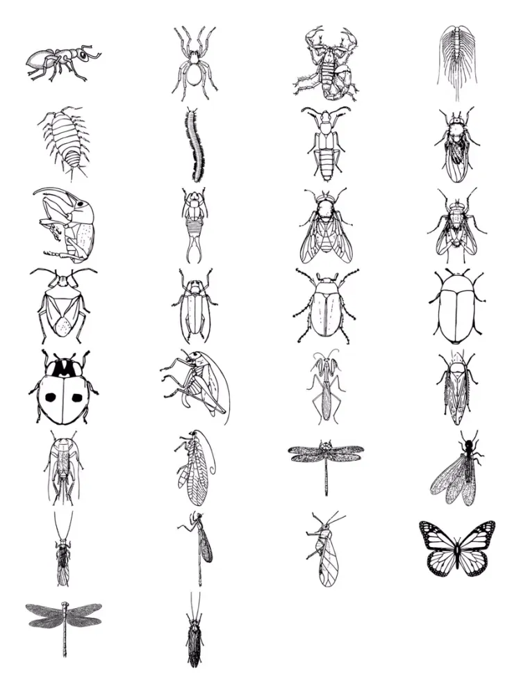 Insect Sticker Pack iPad  스크린샷
