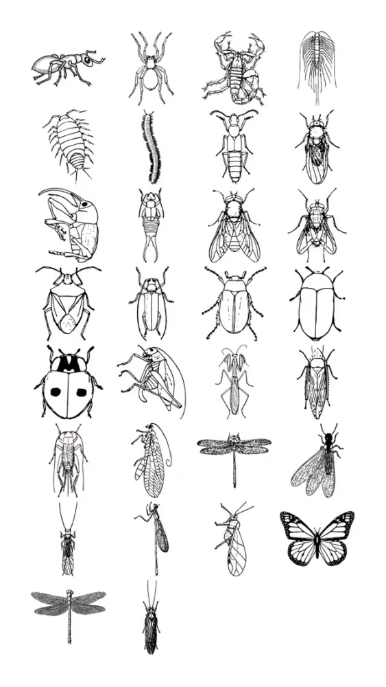 Insect Sticker Pack 스크린샷