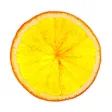 Orange Sticker Pack