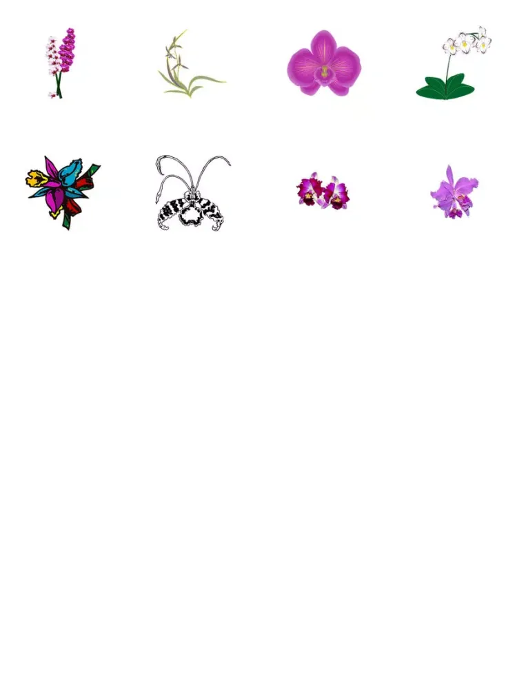 ภาพหน้าจอของ Orchids Sticker Pack iPad 