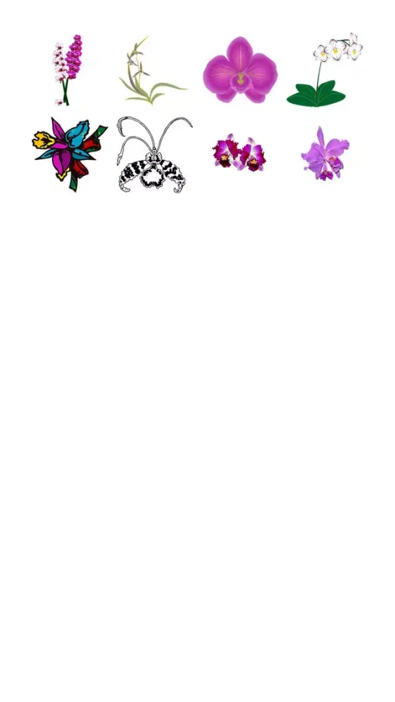 ภาพหน้าจอของ Orchids Sticker Pack