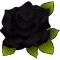 Rose Sticker Pack!
