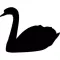 Swan Sticker Pack