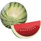 Watermelon Sticker Pack
