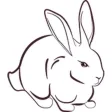 Wild Rabbits One Sticker Pack Wild Rabbits One Sticker Pack