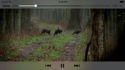Wild Turkey Hunter Pro Ekran Görüntüleri