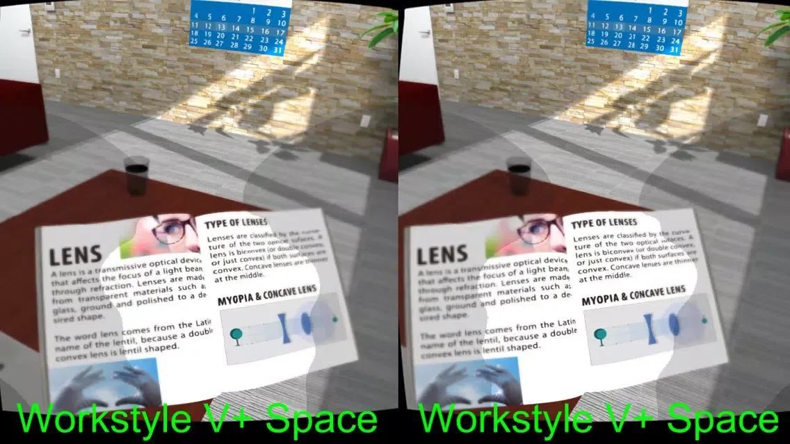 Tangkapan skrin Hoya Vision Simulator VR (Offline)