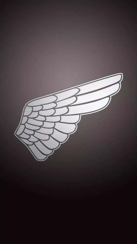 Michael Bastian Chronowing スクリーンショット