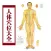 人体穴位大全 - 家庭自我保健中医经络养生与健康专家！