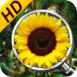 Hidden Objects The Sun Garden Hidden Objects The Sun Garden