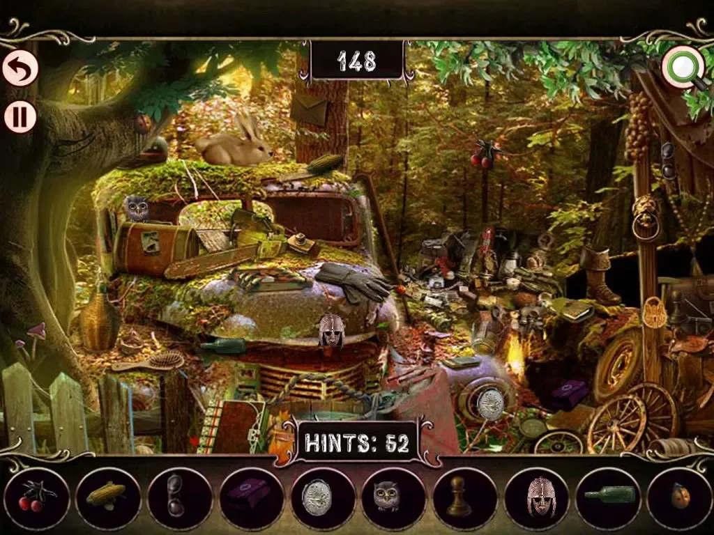 Hidden Objects: Lost in the Forest iPad  स्क्रीनशॉट