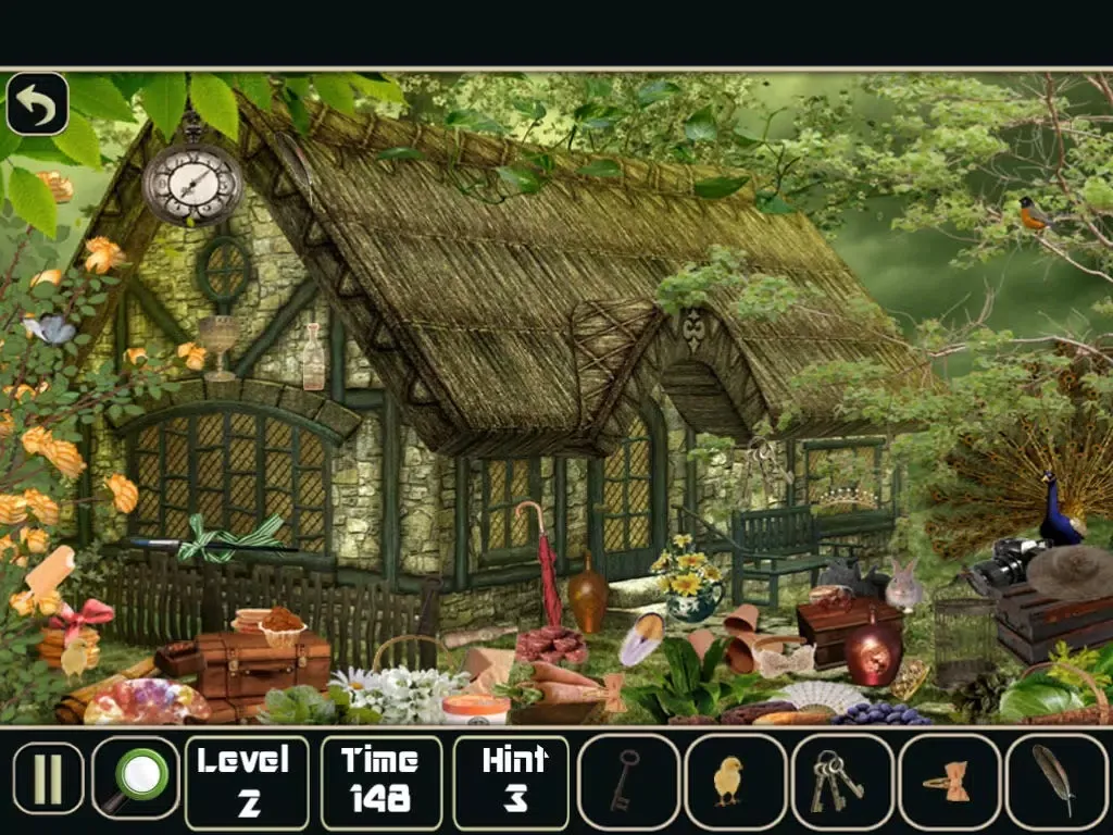 Mystery in Cottage Hidden Objects iPad 应用截图