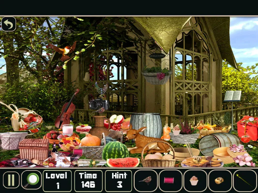 Mystery in Cottage Hidden Objects iPad 应用截图