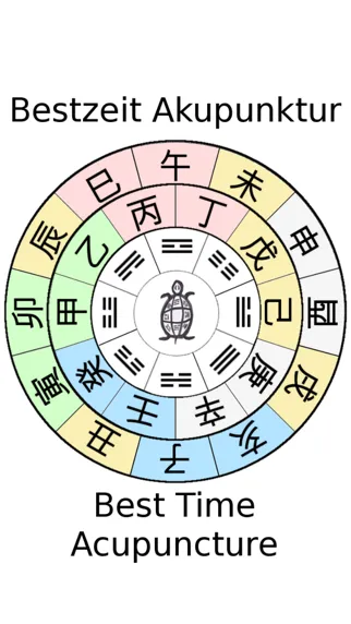 Screenshot di Best Time Acupuncture
