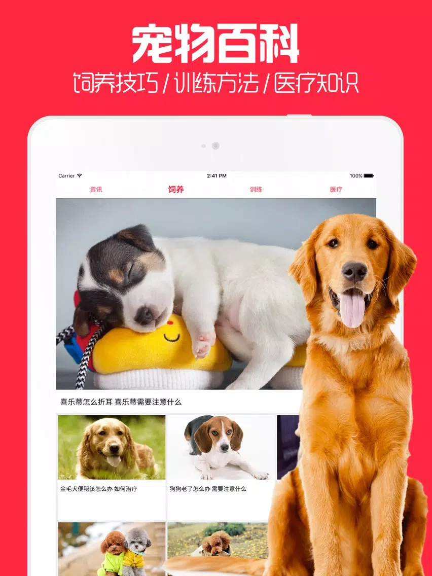 Скриншоты 宠物迷 - 你的掌上有爱宠物之家社区 iPad 
