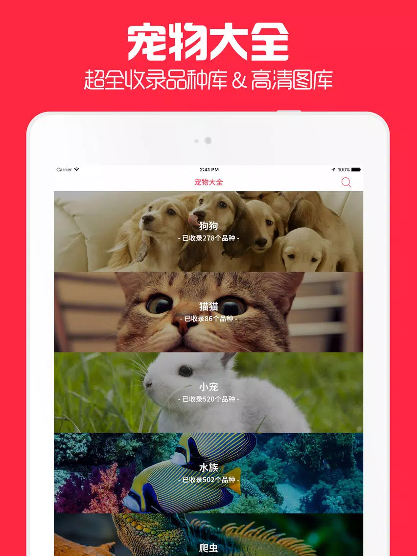 Скриншоты 宠物迷 - 你的掌上有爱宠物之家社区 iPad 
