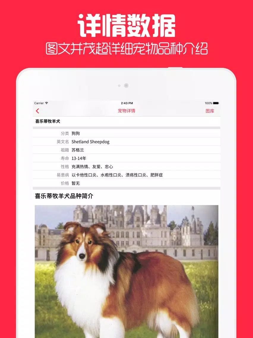 Скриншоты 宠物迷 - 你的掌上有爱宠物之家社区 iPad 