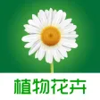 植物花卉 - 识花认草,花草种植养护技巧,多肉植物,植物百科
