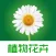 植物花卉 - 识花认草,花草种植养护技巧,多肉植物,植物百科