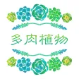 多肉植物 - 多肉植物养护宝典,植物百科,种花养花