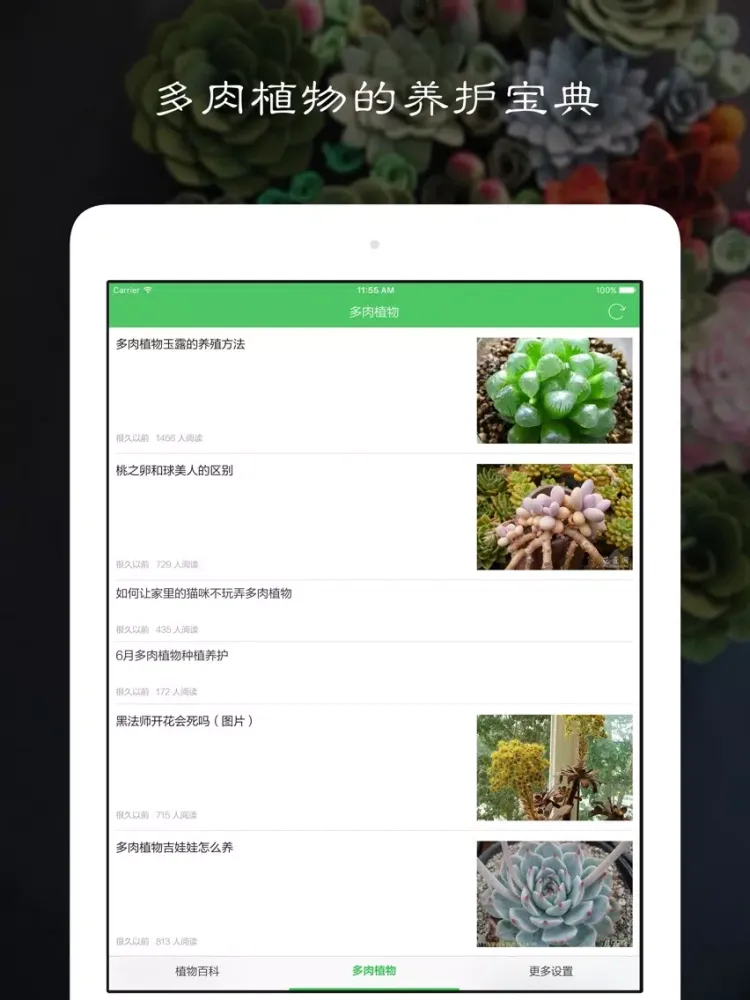Tangkapan skrin 多肉植物 - 多肉植物养护宝典,植物百科,种花养花 iPad 
