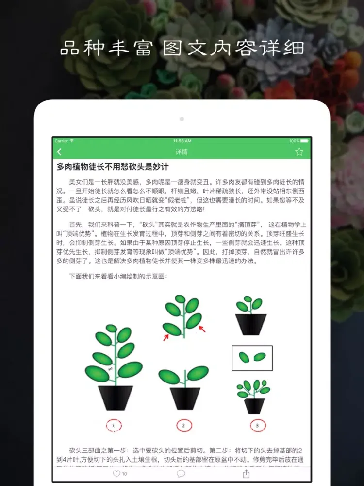 Tangkapan skrin 多肉植物 - 多肉植物养护宝典,植物百科,种花养花 iPad 