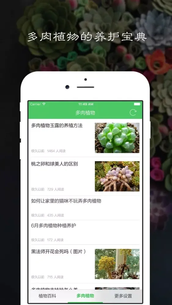 Tangkapan skrin 多肉植物 - 多肉植物养护宝典,植物百科,种花养花