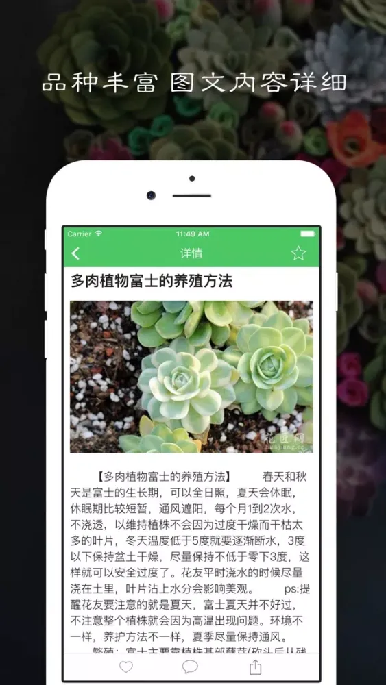 Tangkapan skrin 多肉植物 - 多肉植物养护宝典,植物百科,种花养花