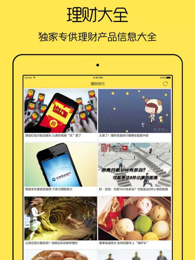 极速贷 - 极速小额贷款攻略,贷款资讯,理财知识大全 iPad  स्क्रीनशॉट
